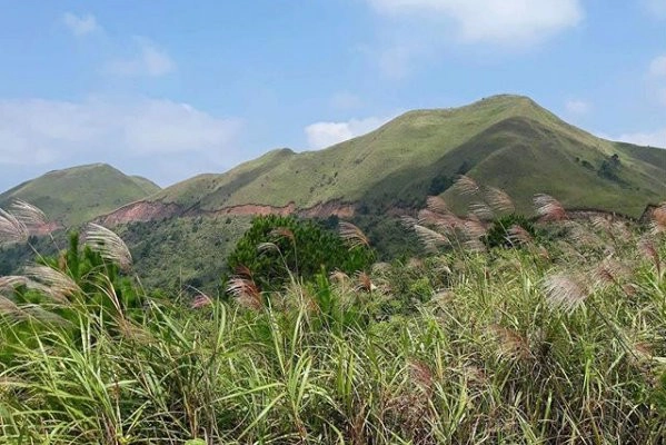 canh dong binh lieu -ha long- ivivu-5