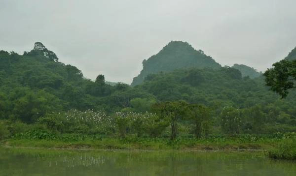 thung-nham---miet-vuon-nam-bo-tren-dat-bac-ivivu-3