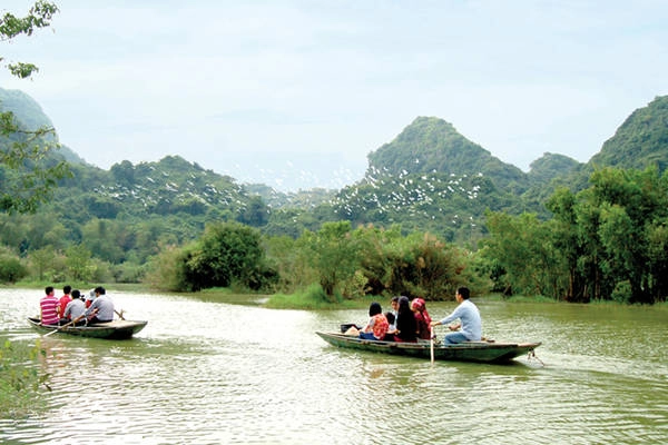 Du khách đi thuyền ngắm chim chóc. Ảnh: Xuân Lâm Du khách đi thuyền ngắm chim chóc. Ảnh: Xuân Lâm