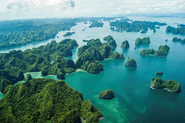 Ảnh: vietnamnet.vn Ảnh: vietnamnet.vn