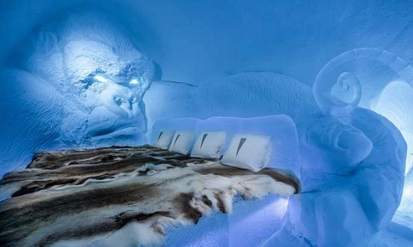 Năm nay, khách sạn được thiết kế theo chủ đề Phi hành gia vũ trụ và Nữ thần băng giá, do 36 nghệ sĩ khác nhau đến từ 17 quốc gia thực hiện. Đây là căn phòng King Kong, được thiết kế bởi nghệ sĩ Lkhagvadorj Dorjsuren. Năm nay, khách sạn được thiết kế theo chủ đề Phi hành gia vũ trụ và Nữ thần băng giá, do 36 nghệ sĩ khác nhau đến từ 17 quốc gia thực hiện. Đây là căn phòng King Kong, được thiết kế bởi nghệ sĩ Lkhagvadorj Dorjsuren.