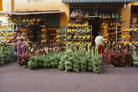 tieng-vo-ngua-len-loi-giua-nhung-khu-den-o-myanmar-ivivu-12