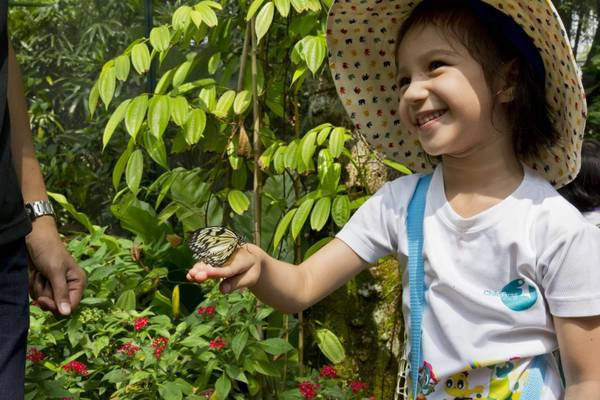 Ảnh: childfirst.com.sg