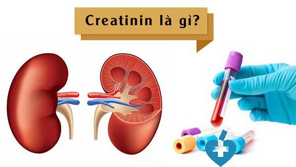kiểm tra độ thanh thải creatinin