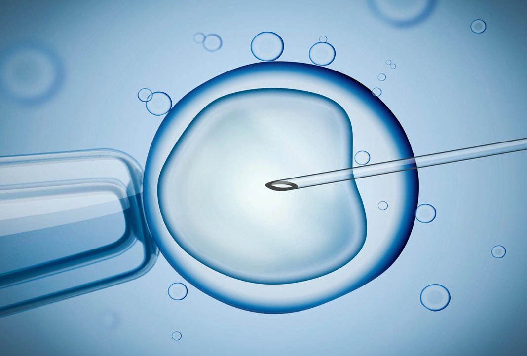 lam-ivf-lan-1-bai-nghi-bao-lau-roi-moi-lam-ivf-lan-2