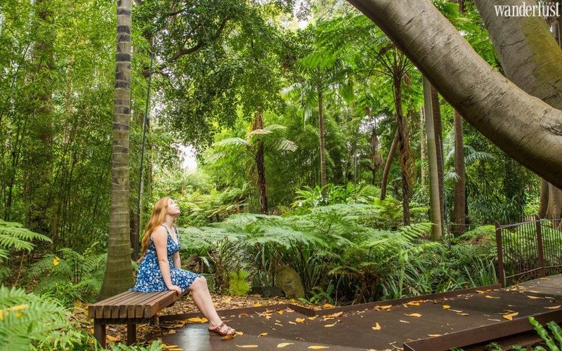 cách điều trị cho người bị trầm cảm