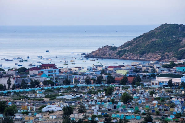 Toàn cảnh xã Nhơn Lý nhìn từ trên cao. Nghề chính của người dân vẫn là đi biển đánh bắt thủy hải sản. Gần đây, du lịch phát triển, họ làm thêm dịch vụ cho thuê thuyền, hướng dẫn du khách tham quan đảo. Toàn cảnh xã Nhơn Lý nhìn từ trên cao. Nghề chính của người dân vẫn là đi biển đánh bắt thủy hải sản. Gần đây, du lịch phát triển, họ làm thêm dịch vụ cho thuê thuyền, hướng dẫn du khách tham quan đảo.