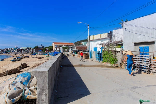 Giống với Nhơn Lý, Nhơn Hải cũng là một làng chài của ngư dân bản địa, tuy nhiên không phát triển du lịch bằng Nhơn Lý, không gian nhẹ nhàng, bình yên hơn rất nhiều. Trong ảnh là một trong hai con đường trung tâm của xã. Đường này chạy men theo bờ biển, đường còn lại đi xuyên qua khu dân cư. Giống với Nhơn Lý, Nhơn Hải cũng là một làng chài của ngư dân bản địa, tuy nhiên không phát triển du lịch bằng Nhơn Lý, không gian nhẹ nhàng, bình yên hơn rất nhiều. Trong ảnh là một trong hai con đường trung tâm của xã. Đường này chạy men theo bờ biển, đường còn lại đi xuyên qua khu dân cư.