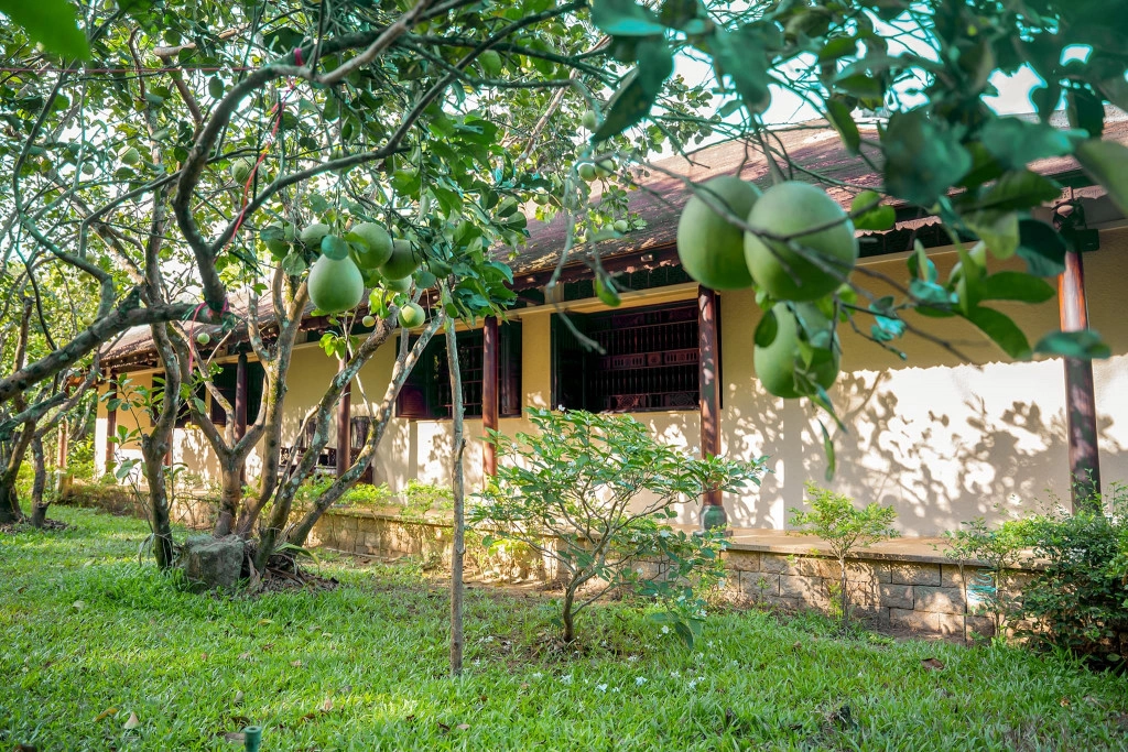 Vườn thanh trà. Ảnh: Cat Tuong Quan Zen House