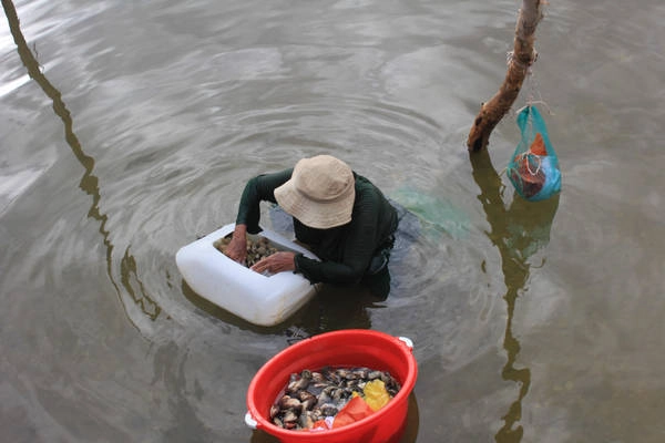 Và lúc này trời cũng đã chiều, chúng tôi di chuyển đến thăm làng chài Hàm Ninh lâu đời. Trong lúc đi dạo, tôi thấy phía dưới một bà lão (tôi đoán bà hơn 80 tuổi) ngâm mình dưới nước rao bán ốc bắt được. Chúng tôi mua ủng hộ bà chẳng phải vì ham rẻ mà vì thấy thương nhiều hơn. Chúng tôi tham quan và vào ngồi ở một bè gần đó để thưởng thức những món đặc sản trứ danh nơi này. Và lúc này trời cũng đã chiều, chúng tôi di chuyển đến thăm làng chài Hàm Ninh lâu đời. Trong lúc đi dạo, tôi thấy phía dưới một bà lão (tôi đoán bà hơn 80 tuổi) ngâm mình dưới nước rao bán ốc bắt được. Chúng tôi mua ủng hộ bà chẳng phải vì ham rẻ mà vì thấy thương nhiều hơn. Chúng tôi tham quan và vào ngồi ở một bè gần đó để thưởng thức những món đặc sản trứ danh nơi này.
