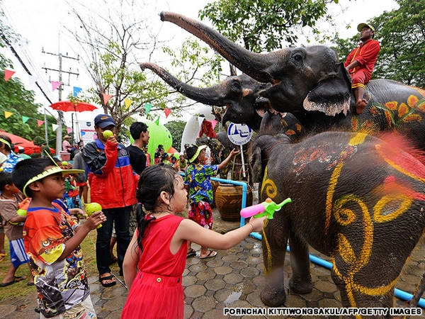 Songkran là lễ hội té nước mở đầu năm mới Thái Lan, diễn ra từ 12 đến 15 tháng 4 năm nay. Phun nước, vẩy nước vào người nhau là một trong những hoạt động chính của lễ hội này. Những chú voi cũng có thể tham gia vào các cuộc chiến nước này.