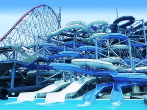 Nagashima Spa Land - Nhật - iVIVU.com