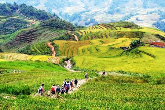 Trekking ở Sapa - iVIVU.com