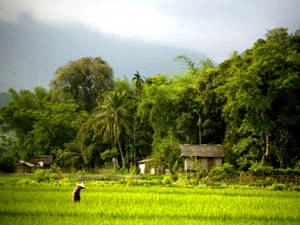 Trekking Mai Châu - iVIVU.com