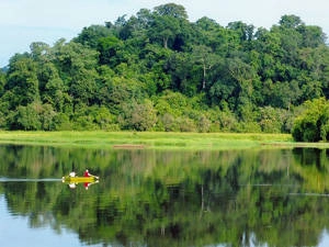 Trekking Nam Cát Tiên - iVIVU.com