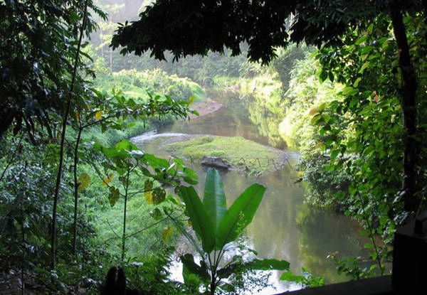 Di sản rừng mưa nhiệt đới đảo Sumatra, Indonesia: Bao gồm 3 công viên quốc gia với tổng diện tích hơn 2 triệu ha, đây là nơi có thảm thực vật, động vật rất đa dạng: 10.000 loài thực vật, 201 loài động vật có vú và hơn 550 loài chim. Cảnh quan thiên nhiên tuyệt đẹp với các hang động, thác nước, hồ băng và núi lửa cùng hàng nghìn loài động vật như hổ, voi... Ảnh: UNESCO.