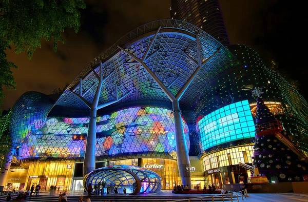 Ảnh: Flickr/ION Orchard/Erwin Soo/CC-BY Ảnh: Flickr/ION Orchard/Erwin Soo/CC-BY