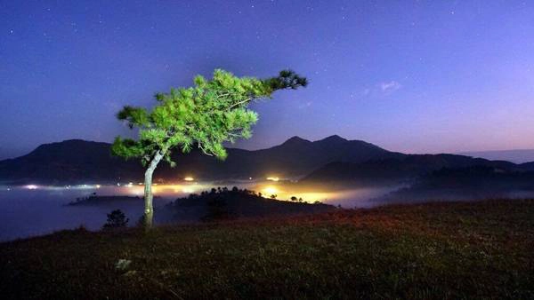 Ảnh: Thành Trung Ảnh: Thành Trung