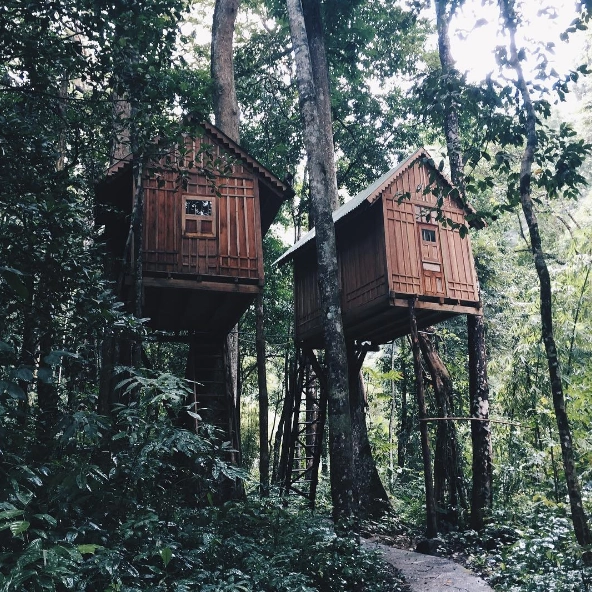 Ảnh: vutuvi Ảnh: vutuvi