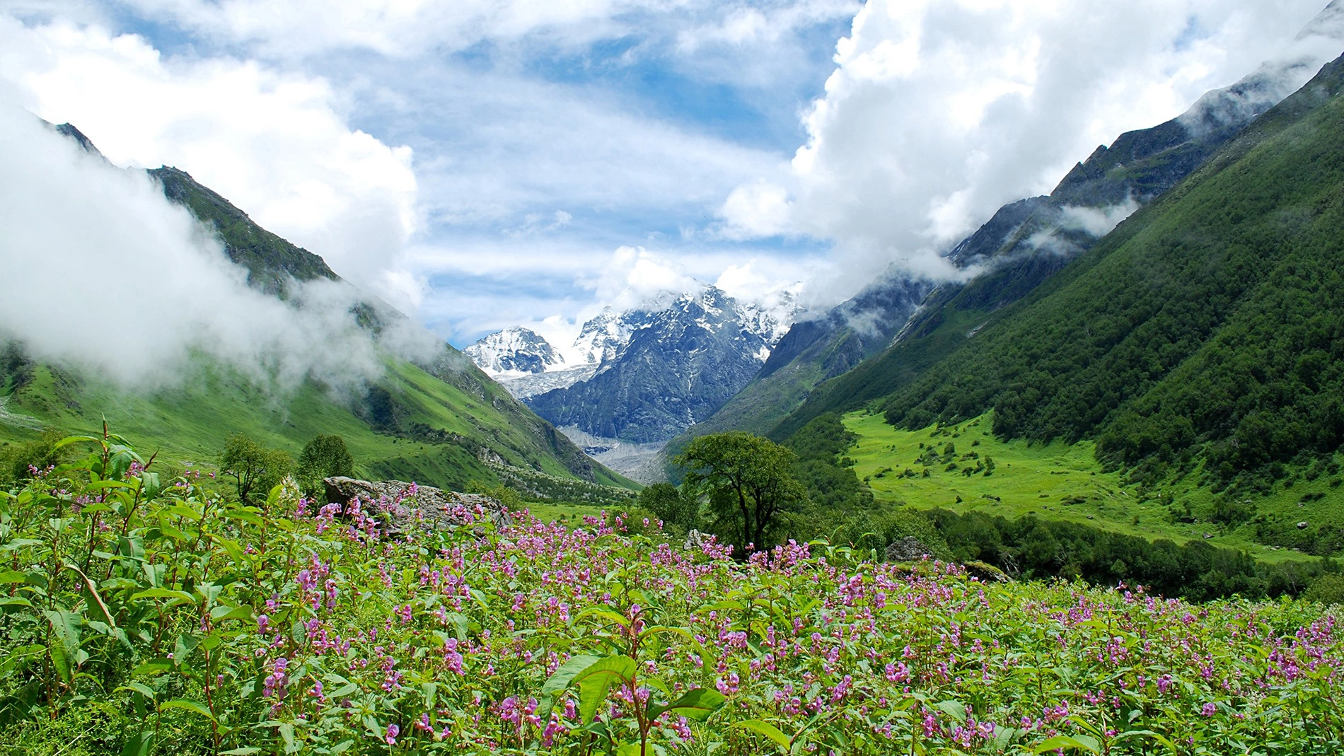 thung- lũng-hoa-bang-Uttarakhand-Ấn-Độ-ivivu-3