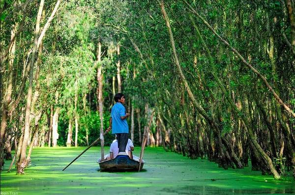 Rừng tràm Trà Sư: Rừng tràm Trà Sư thuộc huyện Tịnh Biên, có diện tích khoảng 850 ha với hệ sinh thái phong phú, là biểu trưng cho vẻ đẹp mùa nước nổi An Giang. Trải nghiệm đi thuyền giữa thảm bèo xanh ngút ngàn, len lỏi trong các ngóc ngách của rừng tràm, nghe tiếng chim chóc đùa giỡn trên tán tràm sẽ rất khó quên. Ảnh: Son Tran/flickr.com Rừng tràm Trà Sư: Rừng tràm Trà Sư thuộc huyện Tịnh Biên, có diện tích khoảng 850 ha với hệ sinh thái phong phú, là biểu trưng cho vẻ đẹp mùa nước nổi An Giang. Trải nghiệm đi thuyền giữa thảm bèo xanh ngút ngàn, len lỏi trong các ngóc ngách của rừng tràm, nghe tiếng chim chóc đùa giỡn trên tán tràm sẽ rất khó quên. Ảnh: Son Tran/flickr.com