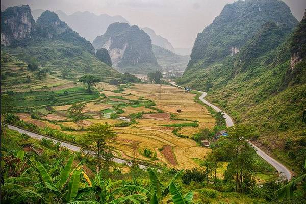 Đèo Mã Phục mùa lúa chín. Ảnh: Micheal Ruan/ flickr.com