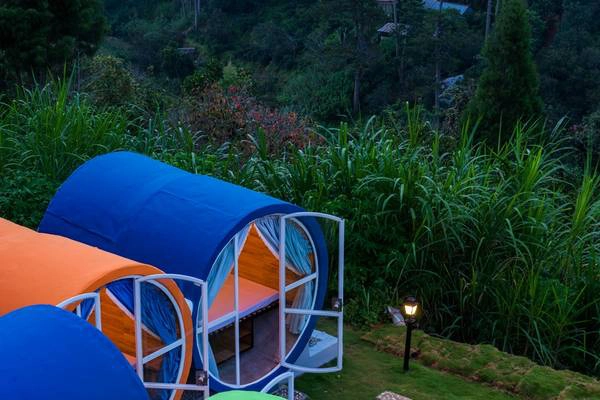 Không gian xanh mướt xung quanh hostel rất đỗi bình yên Không gian xanh mướt xung quanh hostel rất đỗi bình yên