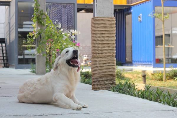 Ảnh: packohostel Ảnh: packohostel