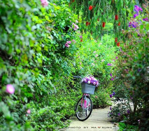 top-5-quan-cafe-cuc-chat-ban-nhat-dinh-phai-ghe-khi-du-lich-da-lat-ivivu-15