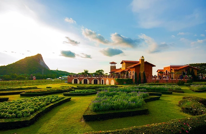 Ảnh: silverlakevineyard