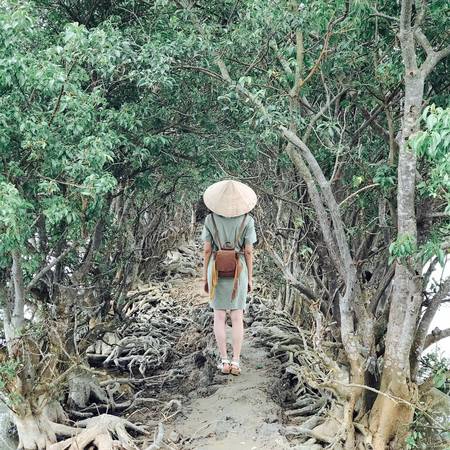 Ảnh: kumje