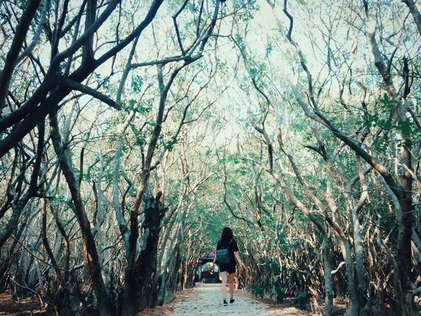 Ảnh: vo_thao_tsu