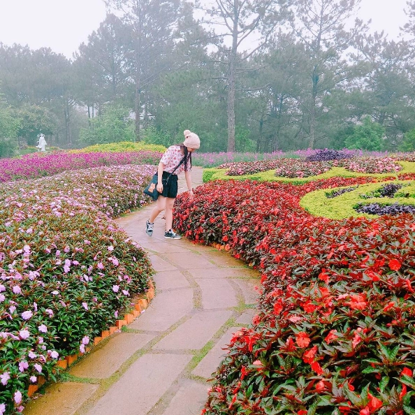 Ảnh: hua_thaovi Ảnh: hua_thaovi