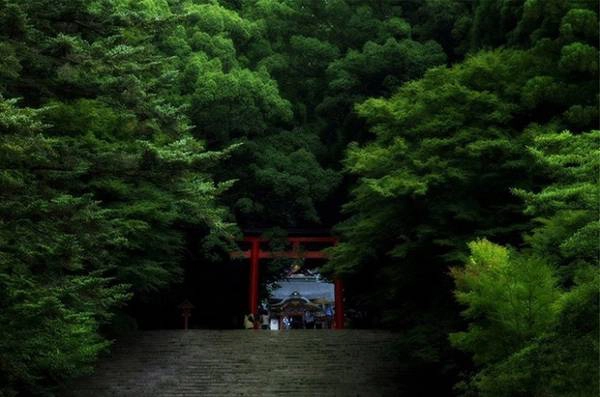 Torii là công trình truyền thống của Nhật Bản, thường thấy tại lối vào đền thờ Shinto - Thần đạo (trong tiếng Nhật gọi là Sandō). Nó được coi là biểu tượng của sự chuyển tiếp giữa cõi phàm tục và thế giới thần linh. Những cánh cổng đơn giản, màu đỏ như son này từng được dựng bằng gỗ hoặc đá. Nhưng ngày nay, người Nhật đã thay thế đó bằng thép không gỉ và bê tông, cùng các loại vật liệu khác để tăng thêm độ bền vững cho công trình. Các tài liệu cổ có ghi chép rằng những chiếc cổng thiêng Torii xuất hiện đầu tiên ở Nhật Bản vào năm 922, tuy nhiên nguồn gốc thực sự của nó vẫn còn là một bí ẩn chưa có lời giải đáp.