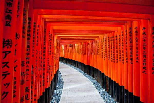 Có rất nhiều giả thuyết khác nhau về sự ra đời của những cánh cổng Torii. Có ý kiến cho rằng Torii của Nhật Bản bắt nguồn từ Torana - những cánh cổng được xây dựng tại đền thờ Hindu ở Ấn Độ. Đầu tiên, chúng được sử dụng bởi các tín đồ Phật giáo sau đó mới du nhập vào Nhật Bản. Trong khi đó, nghiên cứu khác lại nghiêng về giả thuyết Trung Quốc mới là nguồn gốc thực sự của Torii. Điều này được cho là bởi vì cổng Torii rất giống với các cổng chào (Pailou) ở Trung Quốc ở hình dáng, màu sắc và cả vị trí đặt tại nơi linh thiêng để đánh dấu ranh giới. Các đền Sandō thờ thần Inari rất phổ biến ở Nhật và thường có lối vào được tạo thành bởi hàng trăm chiếc cổng Torii dựng san sát nhau. Hầu hết trong số đó được quyên tặng bởi các gia đình thương nhân để tỏ lòng biết ơn thần linh đã giúp cho công việc kinh doanh của họ suôn sẻ, thuận lợi. Đặc biệt, tại đền thờ Fushimi Inaritaisha ở Kyoto còn có lối vào được xây dựng bởi hàng nghìn chiếc cổng Torii. Trên mỗi chiếc cổng này đều ghi thời gian và họ tên của người quyên tặng.