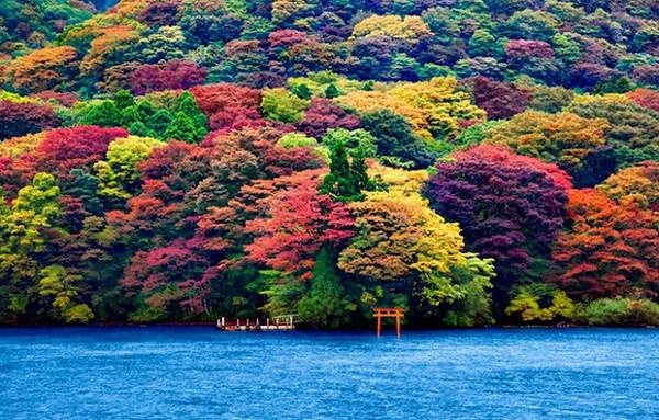 Cánh cổng Torii nổi tiếng nhất ở Nhật Bản là Itsukushima - đền thờ linh thiêng nằm trên đảo Miyajima thuộc thành phố Hatsukaichi. Khu liên hợp này được đưa vào danh sách di sản thế giới của UNESCO. Không chỉ được coi là báu vật quốc gia, hình ảnh cánh cổng Torii trước dãy núi Misen còn là một trong ba điểm du lịch hấp dẫn nhất của Nhật Bản bên cạnh Amanohashidate và vịnh Matsushima.