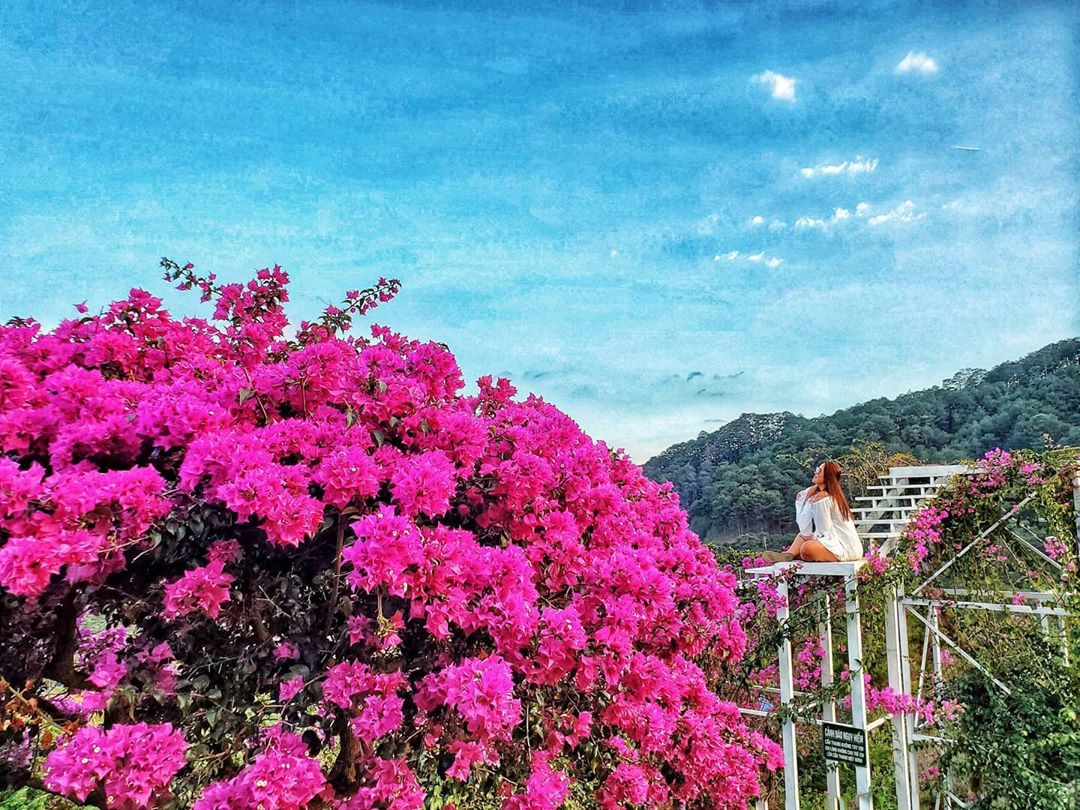 Ảnh: sweet_tequilas Ảnh: sweet_tequilas
