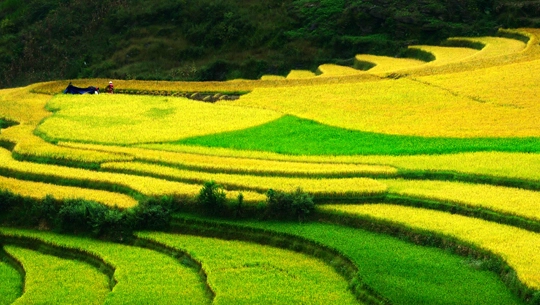 ivivu-ha-giang