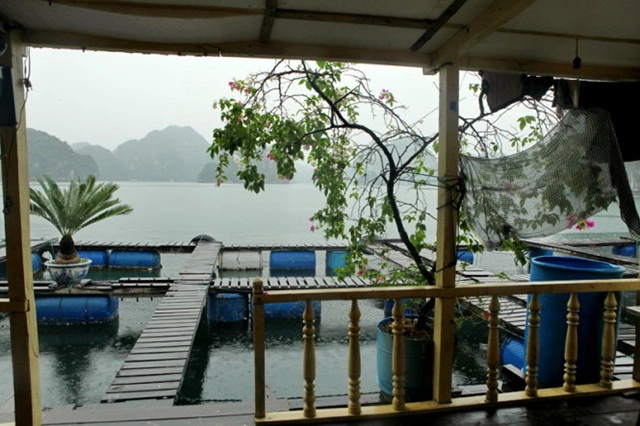 Ảnh: Băng Giang/ Tuổi Trẻ Ảnh: Băng Giang/ Tuổi Trẻ