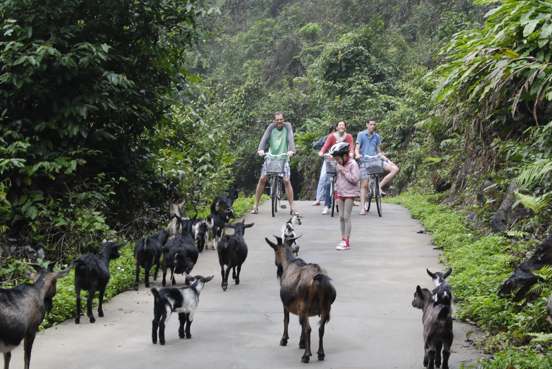 Ảnh: tourhalong Ảnh: tourhalong