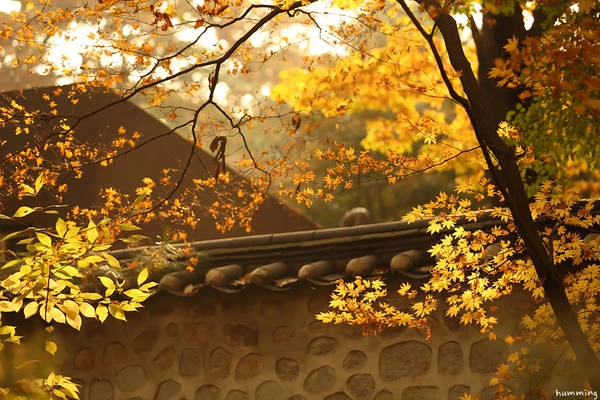 Ảnh: Naver Blog Ảnh: Naver Blog