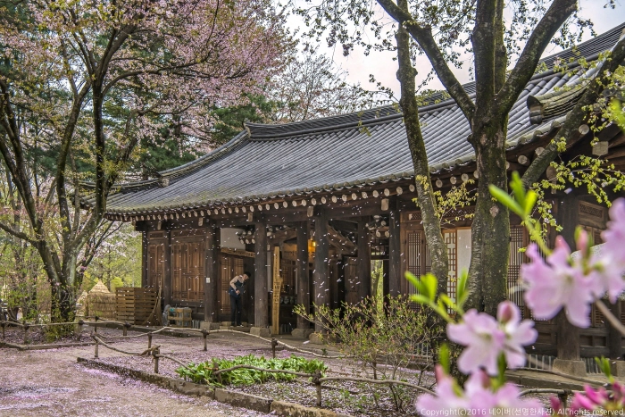 Ảnh: visitkorea Ảnh: visitkorea