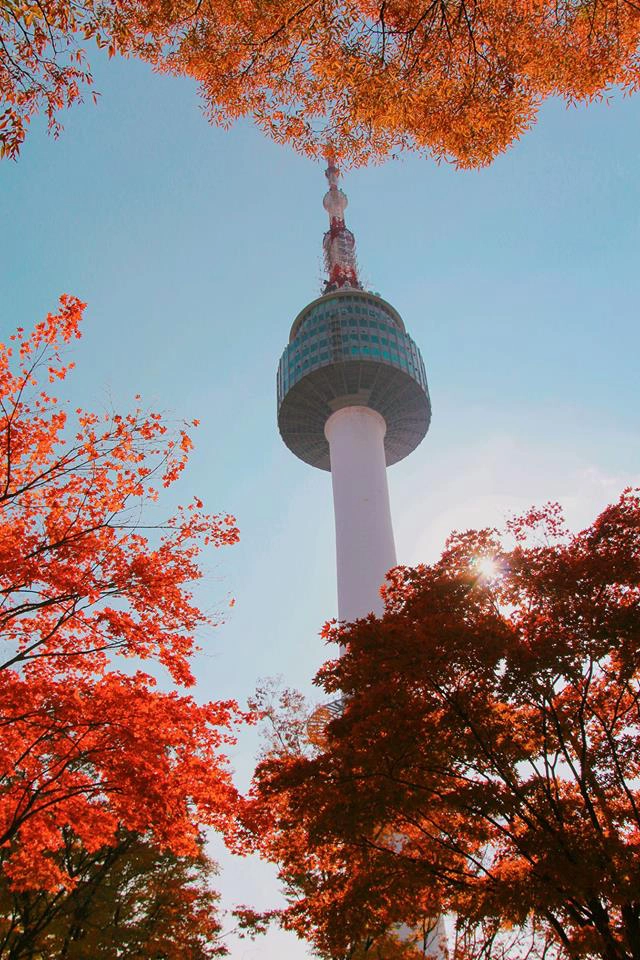 Ảnh: 남산서울타워 Ảnh: 남산서울타워