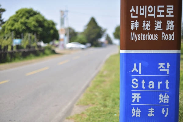 Con đường kỳ bí ở đảo Jeju. Ảnh: tripresso.com
