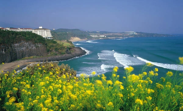 Là hòn đảo nổi tiếng nhất của xứ Kim Chi, đảo Jeju đã xuất hiện rất nhiều trong các bộ phim Hàn Quốc. Ảnh: idptravel.com