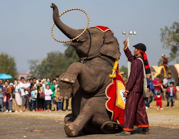 tour lao 4n3d - Pakse - 4.000 Đao - Wat Phou - Cao Nguyen Bolaven-ivivu -11