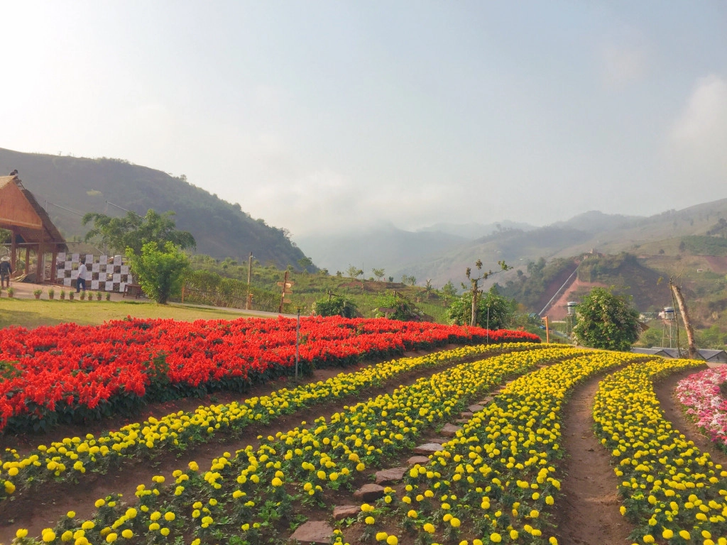 Vườn hoa ở Happy Land. Ảnh: Tạp chí du lịch.