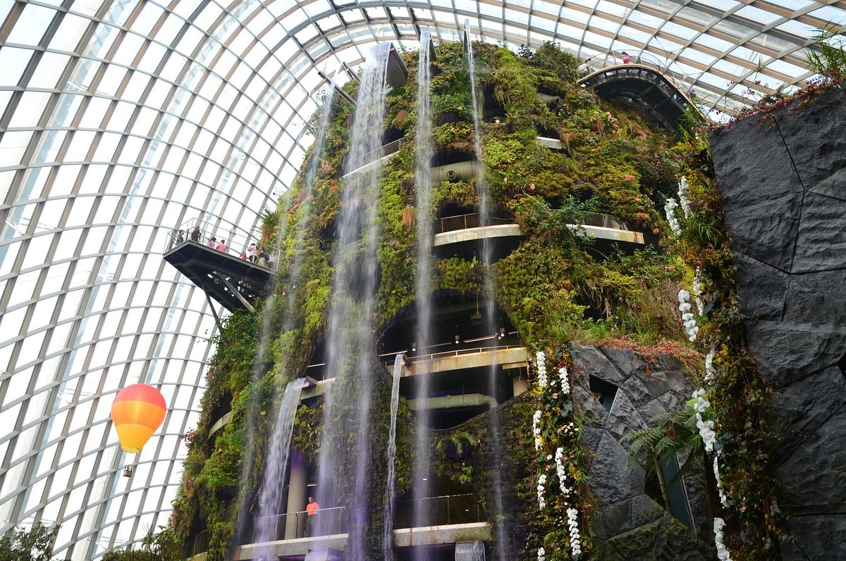 Cloud Forest