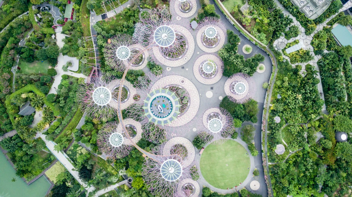 Siêu cây nhìn từ trên cao. Ảnh: Dronestagram Siêu cây nhìn từ trên cao. Ảnh: Dronestagram