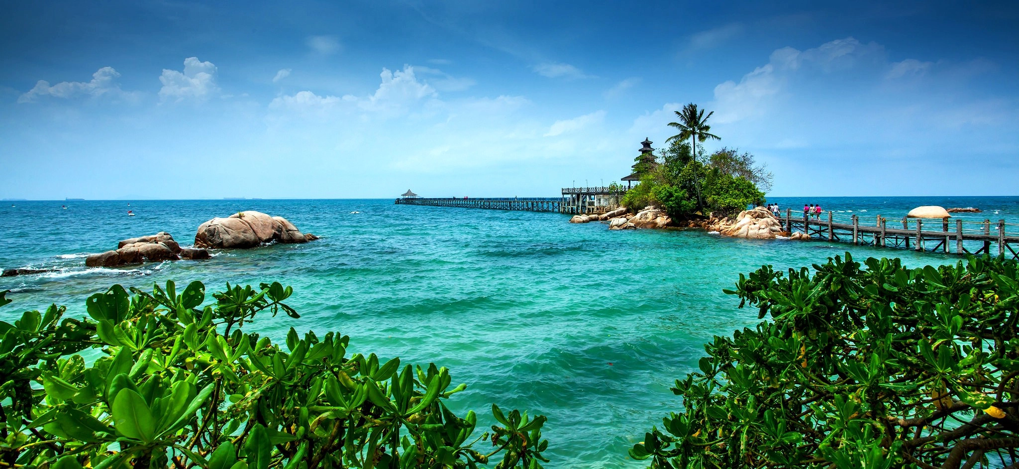 Ảnh: NatBG Ảnh: NatBG